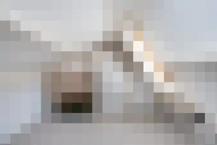 Meppelerdiep 26 Zwolle thumbnail 31
