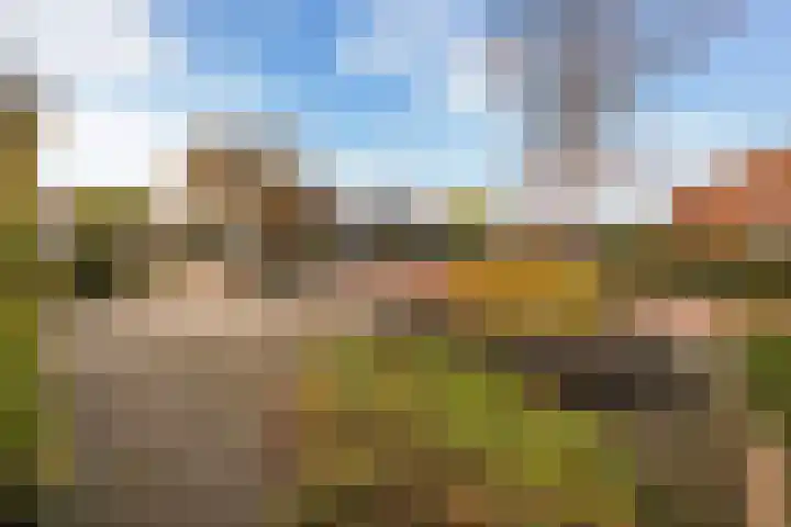 Meppelerdiep 26 Zwolle thumbnail 32