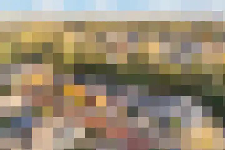 Meppelerdiep 26 Zwolle thumbnail 33