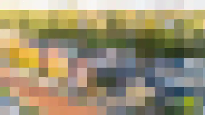Meppelerdiep 26 Zwolle thumbnail 34