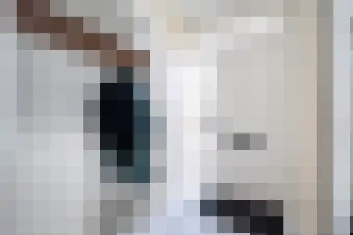 Meppelerdiep 26 Zwolle thumbnail 5