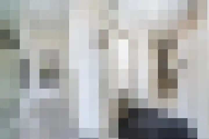 Meppelerdiep 26 Zwolle thumbnail 6