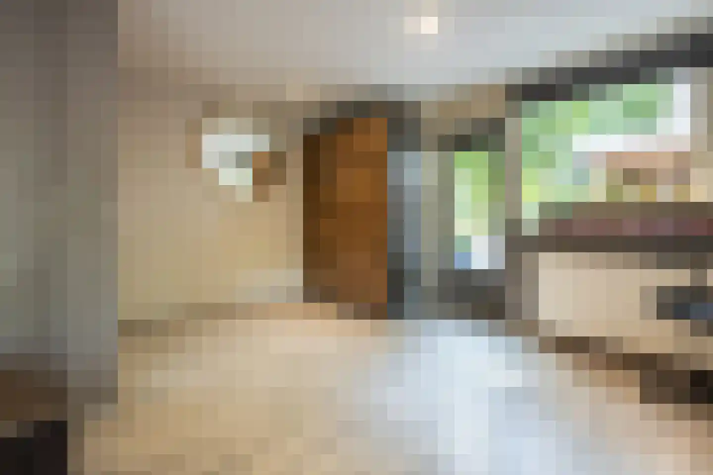 Meppelerdiep 92 Zwolle thumbnail 25