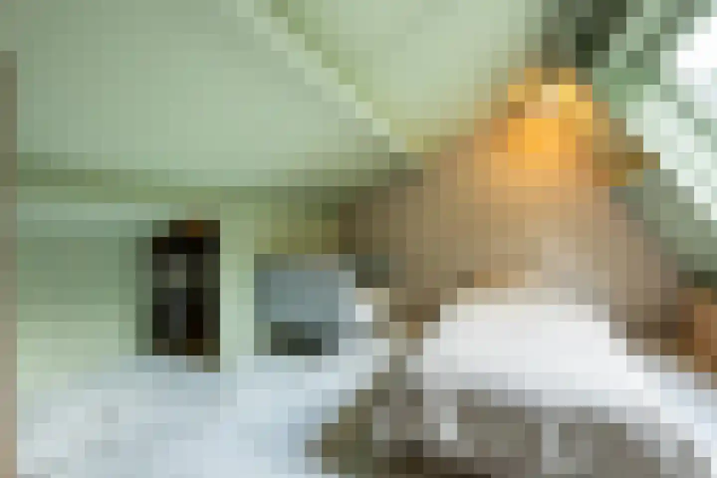Meppelerdiep 92 Zwolle thumbnail 41