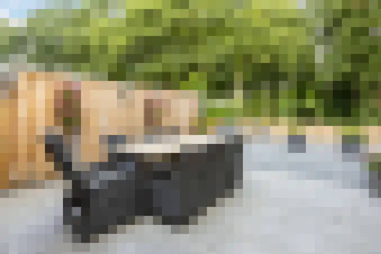 Meppelerdiep 92 Zwolle thumbnail 43