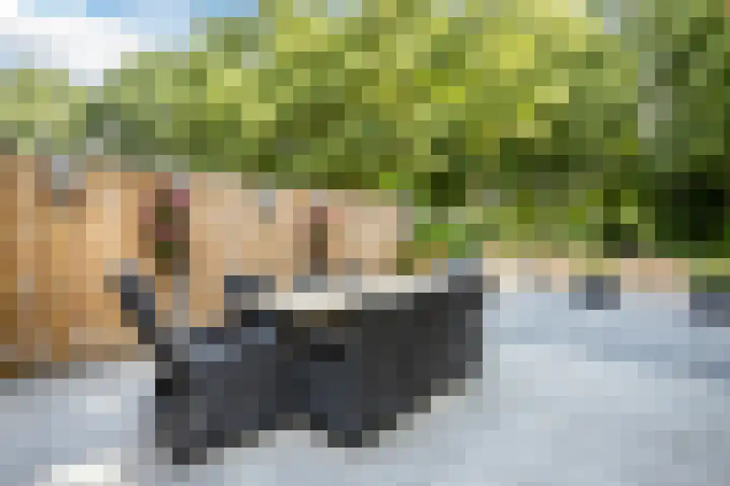 Meppelerdiep 92 Zwolle thumbnail 46