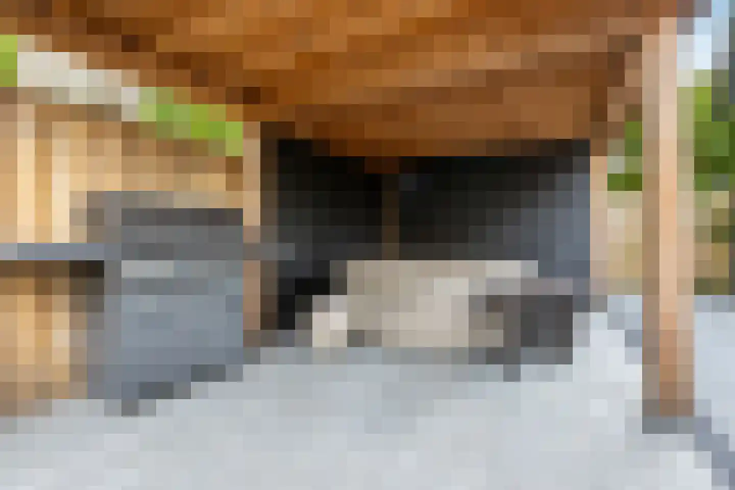 Meppelerdiep 92 Zwolle thumbnail 53