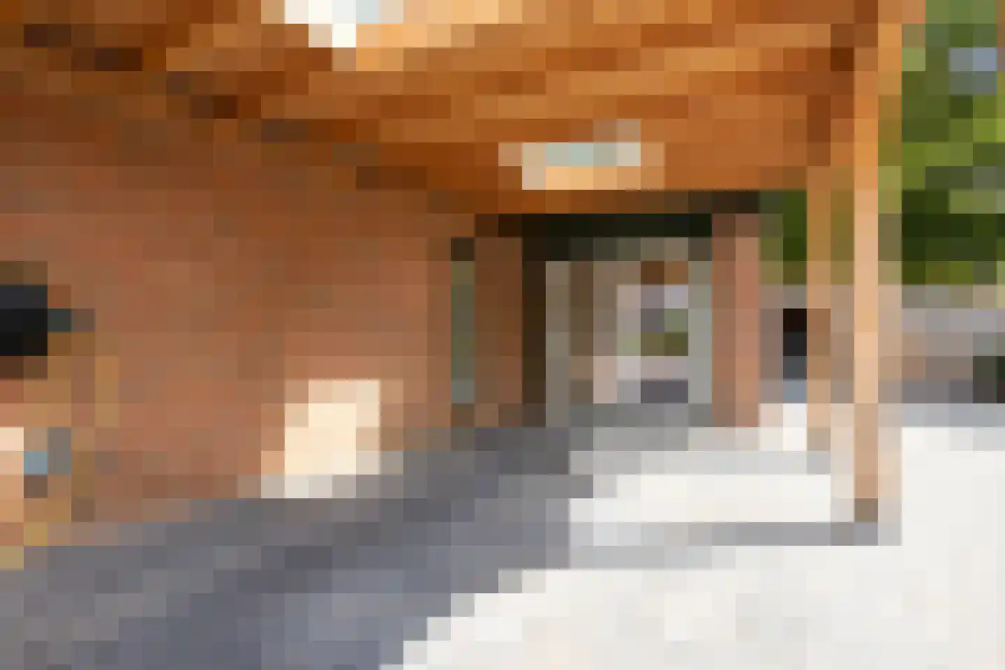 Meppelerdiep 92 Zwolle thumbnail 56