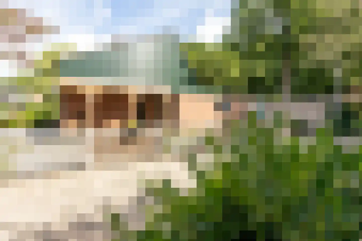 Meppelerdiep 92 Zwolle thumbnail 58