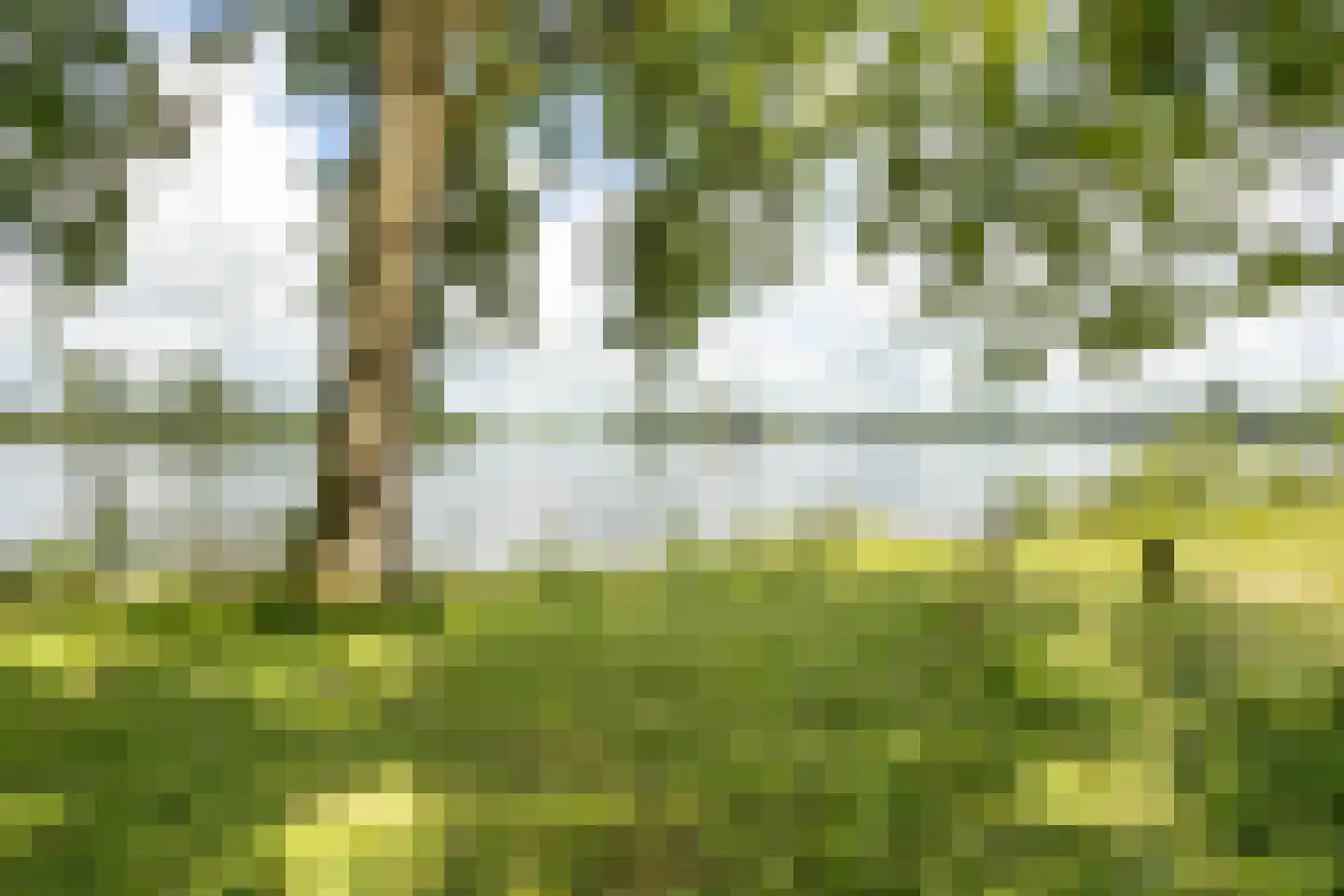 Meppelerdiep 92 Zwolle thumbnail 64