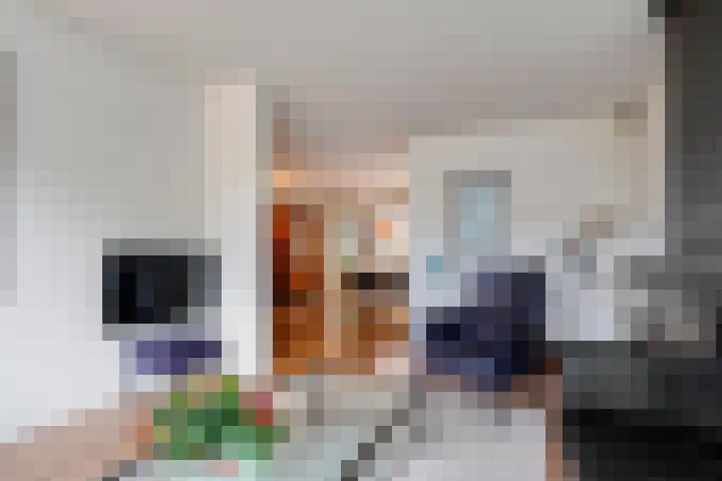 Meppelerdiep 94 Zwolle thumbnail 13