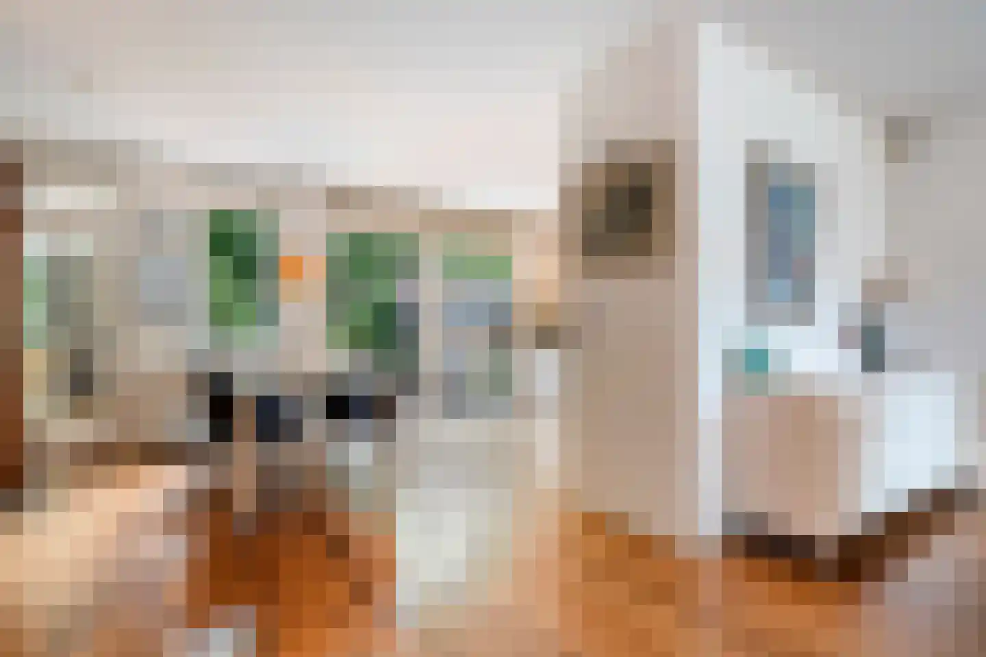 Meppelerdiep 94 Zwolle thumbnail 15