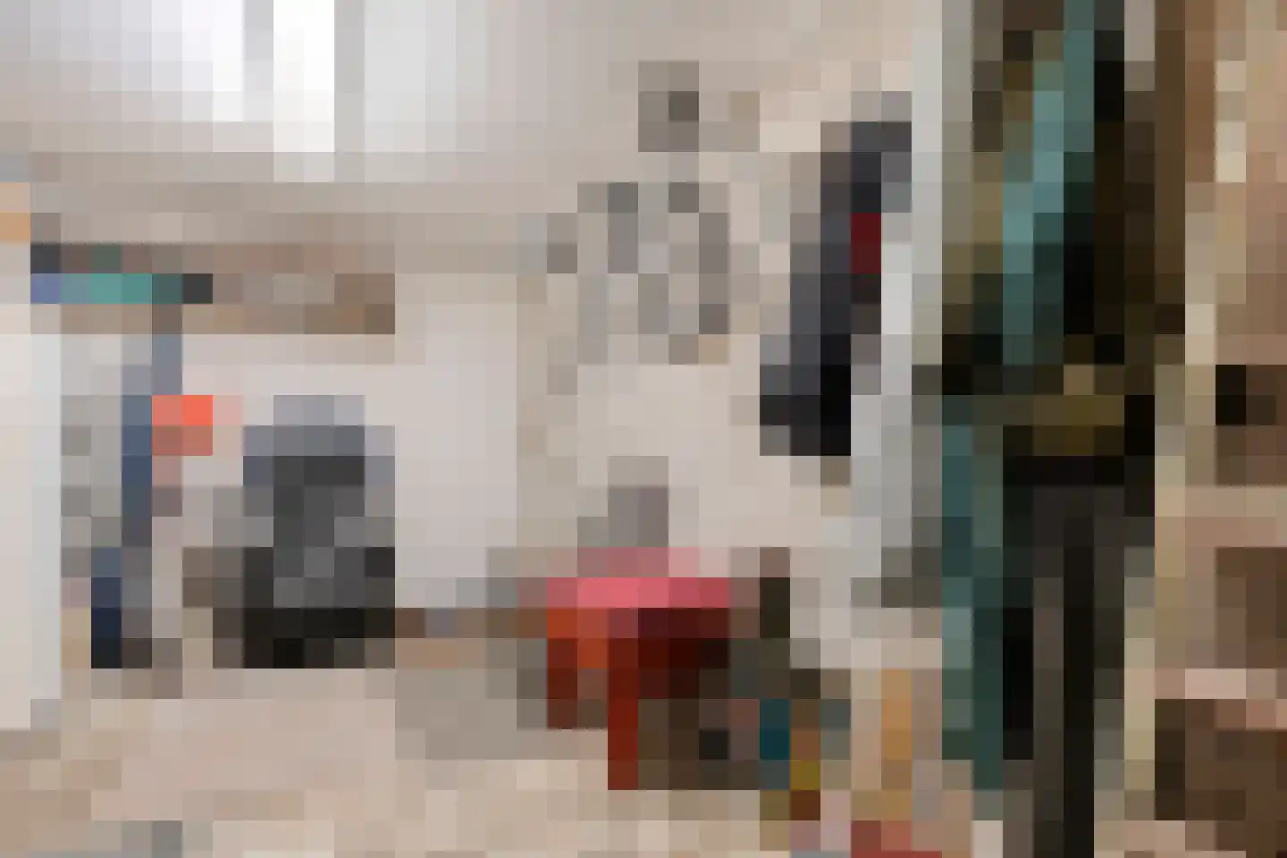 Meppelerdiep 94 Zwolle thumbnail 27