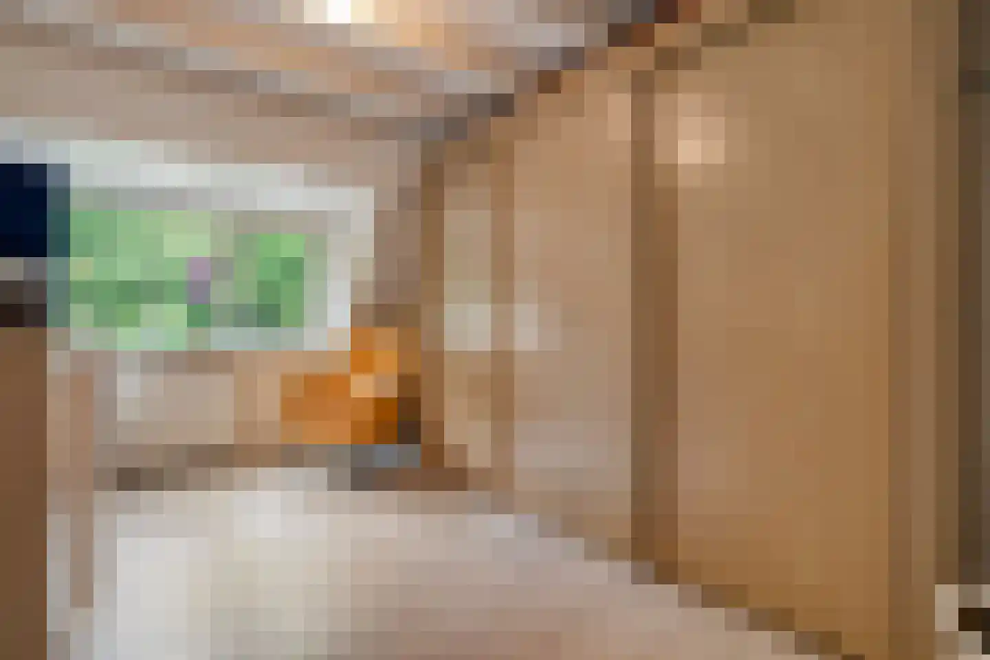Meppelerdiep 94 Zwolle thumbnail 31
