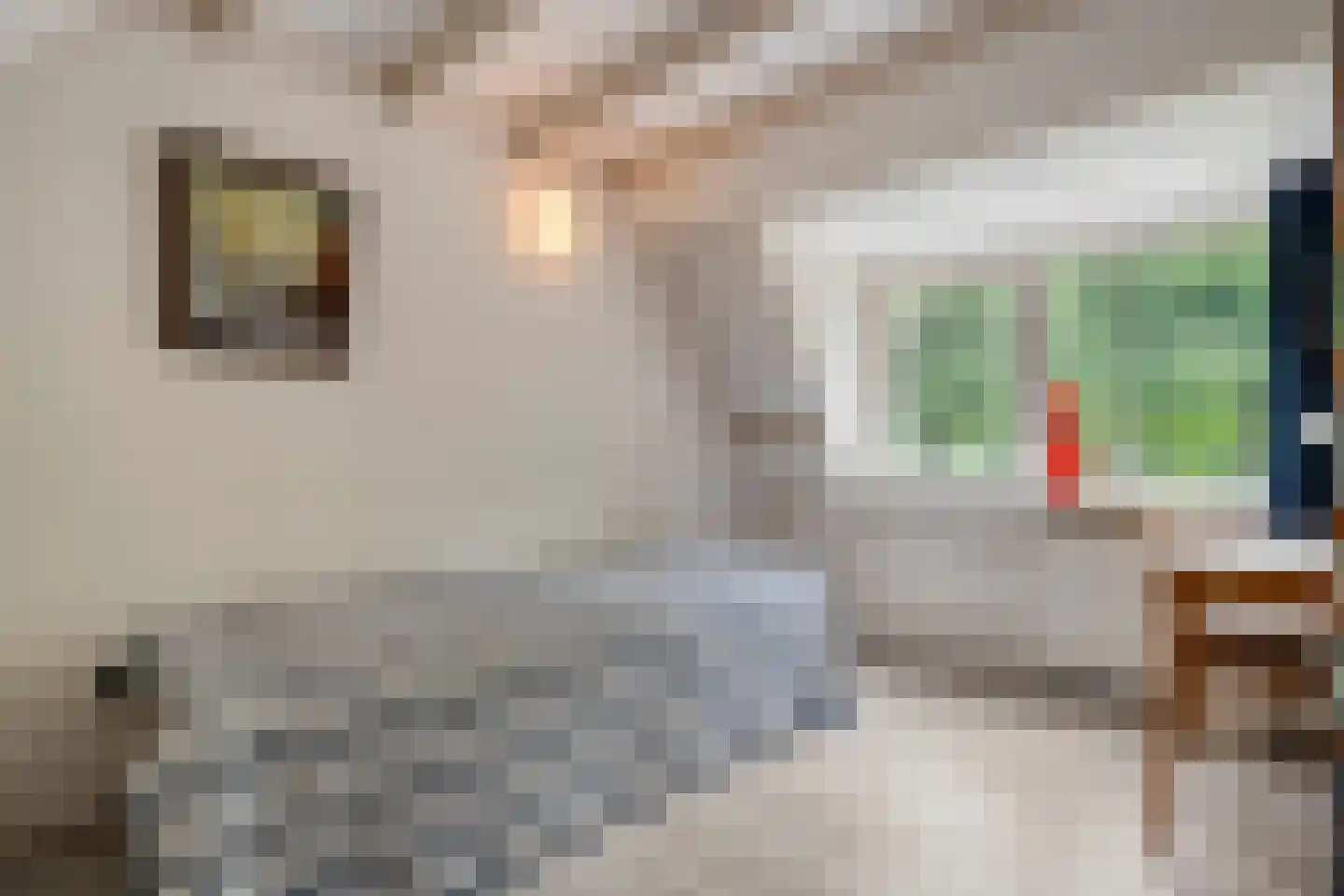 Meppelerdiep 94 Zwolle thumbnail 33