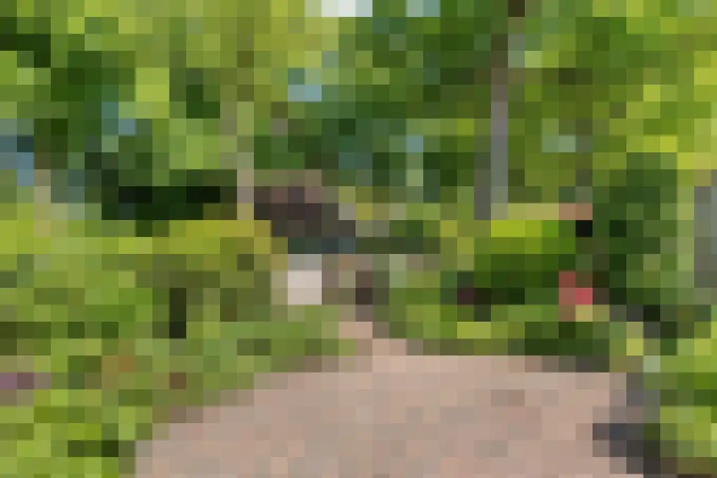 Meppelerdiep 94 Zwolle thumbnail 46