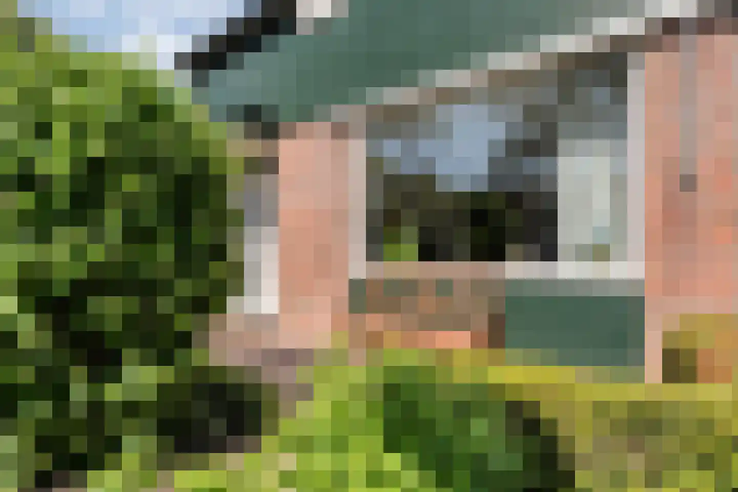 Meppelerdiep 94 Zwolle thumbnail 5