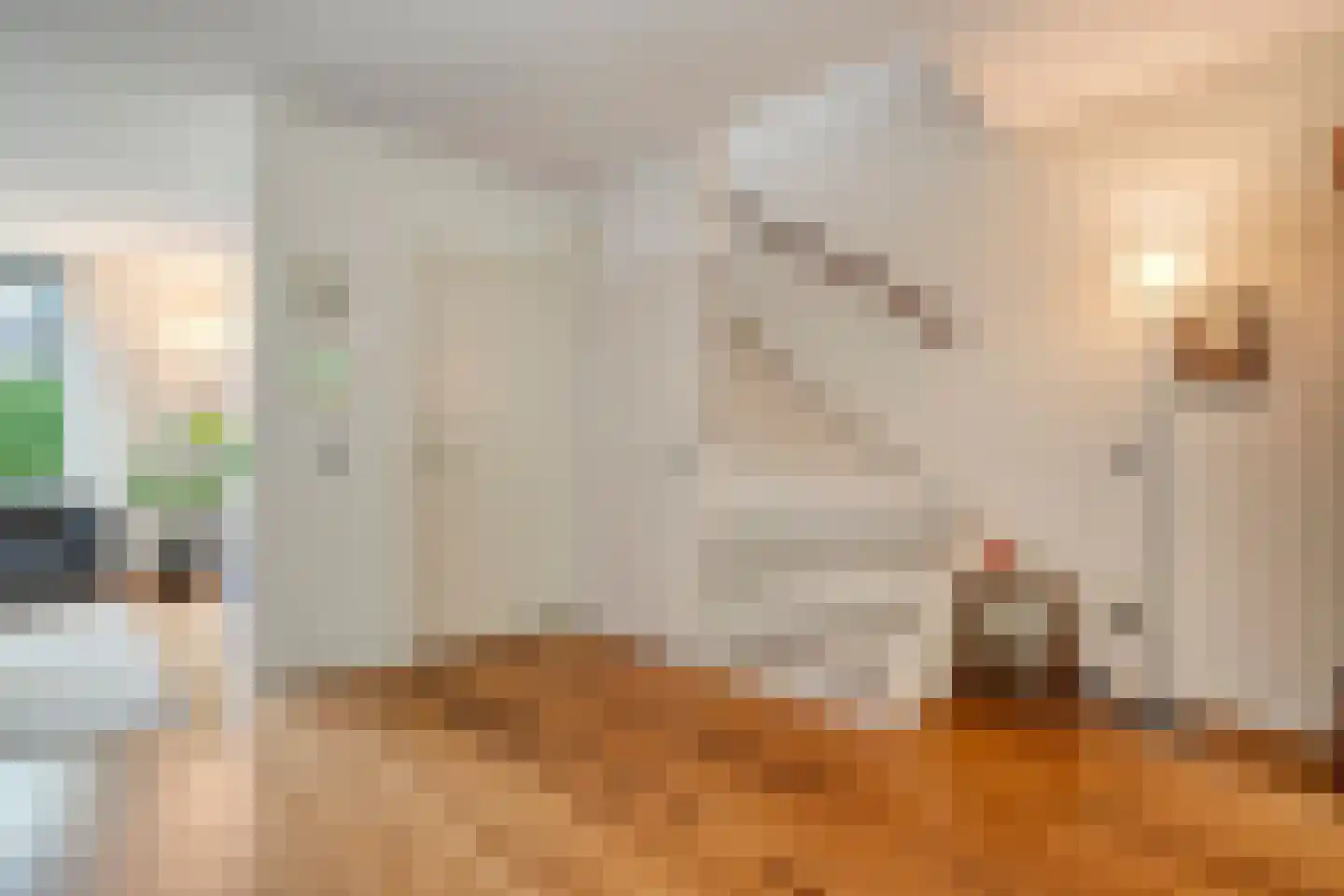Meppelerdiep 94 Zwolle thumbnail 9