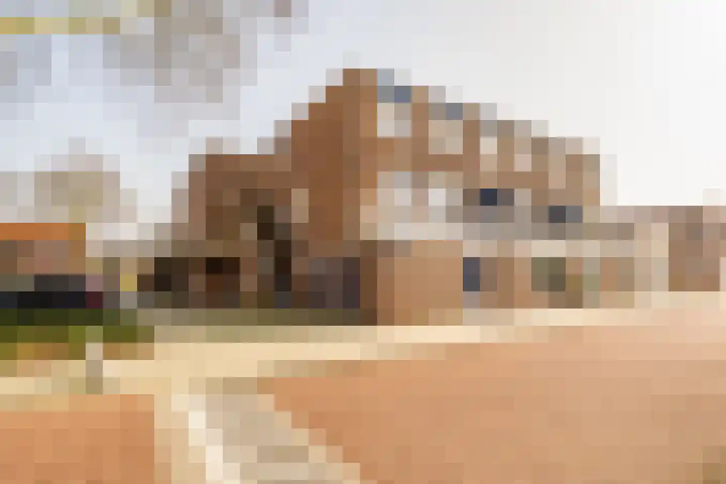 Meppelerschans 2 Nieuwegein