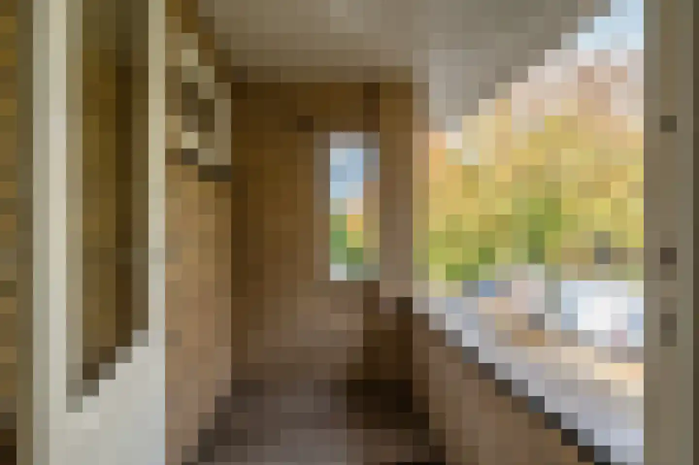 Meppelerstraatweg 17 Zwolle thumbnail 34