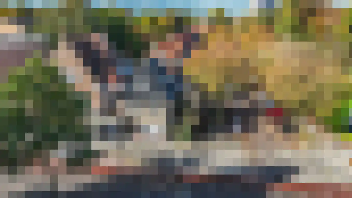 Meppelerstraatweg 17 Zwolle thumbnail 5
