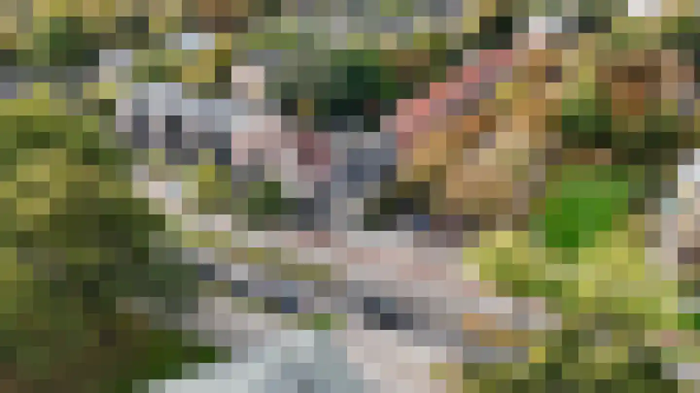 Meppelerstraatweg 17 Zwolle thumbnail 6