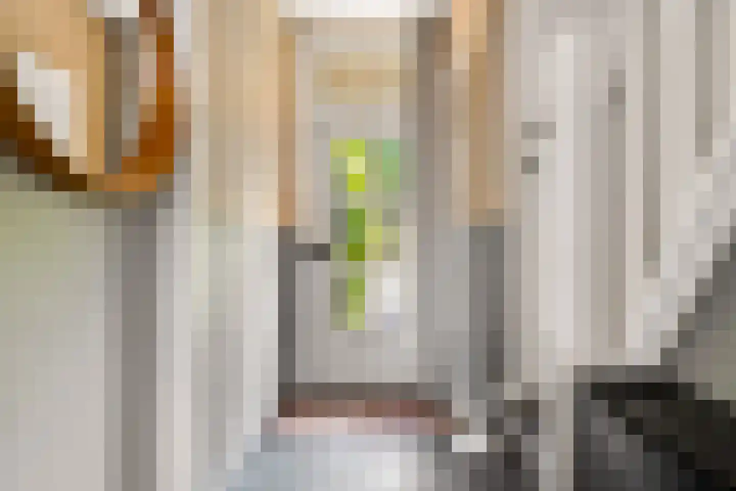 Meppelerstraatweg 95 Zwolle thumbnail 5