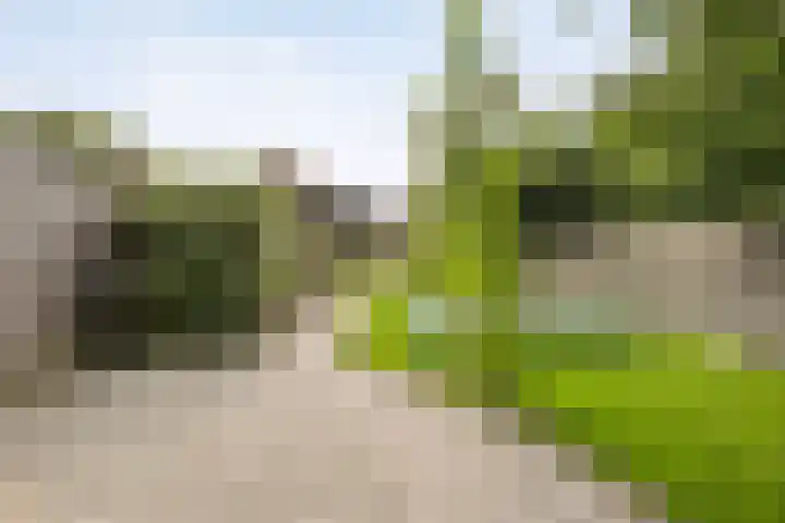 Meppelerweg 13 Balkbrug thumbnail 28
