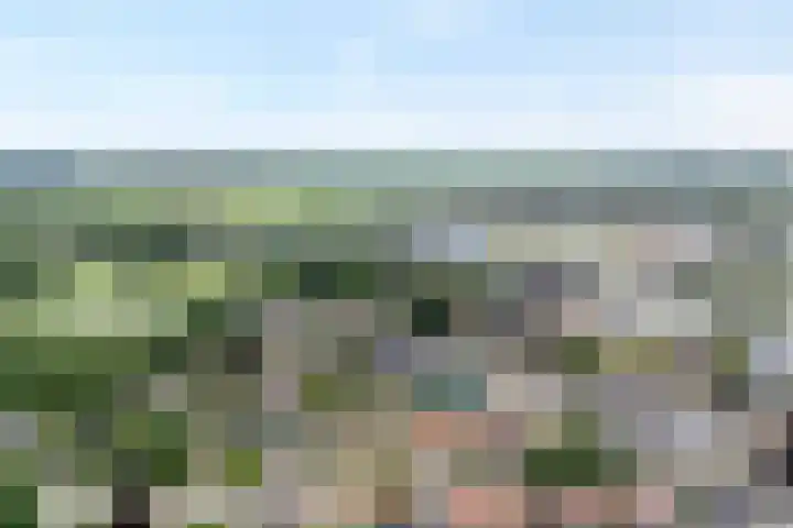 Meppelerweg 13 Balkbrug thumbnail 32