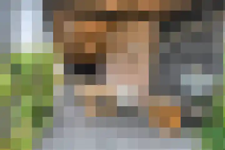 Meppelerweg 13 Balkbrug thumbnail 4