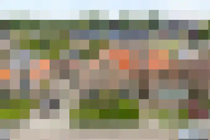 Meppelerweg 13 Balkbrug thumbnail 5