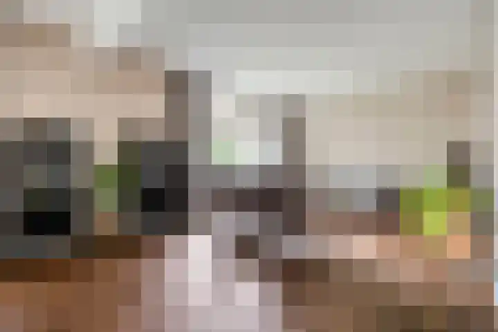 Meppelerweg 13 Balkbrug thumbnail 8