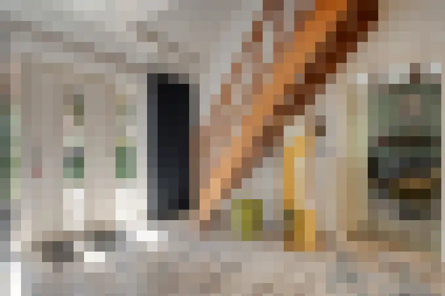 Meppelerweg 153 B Onna thumbnail 34