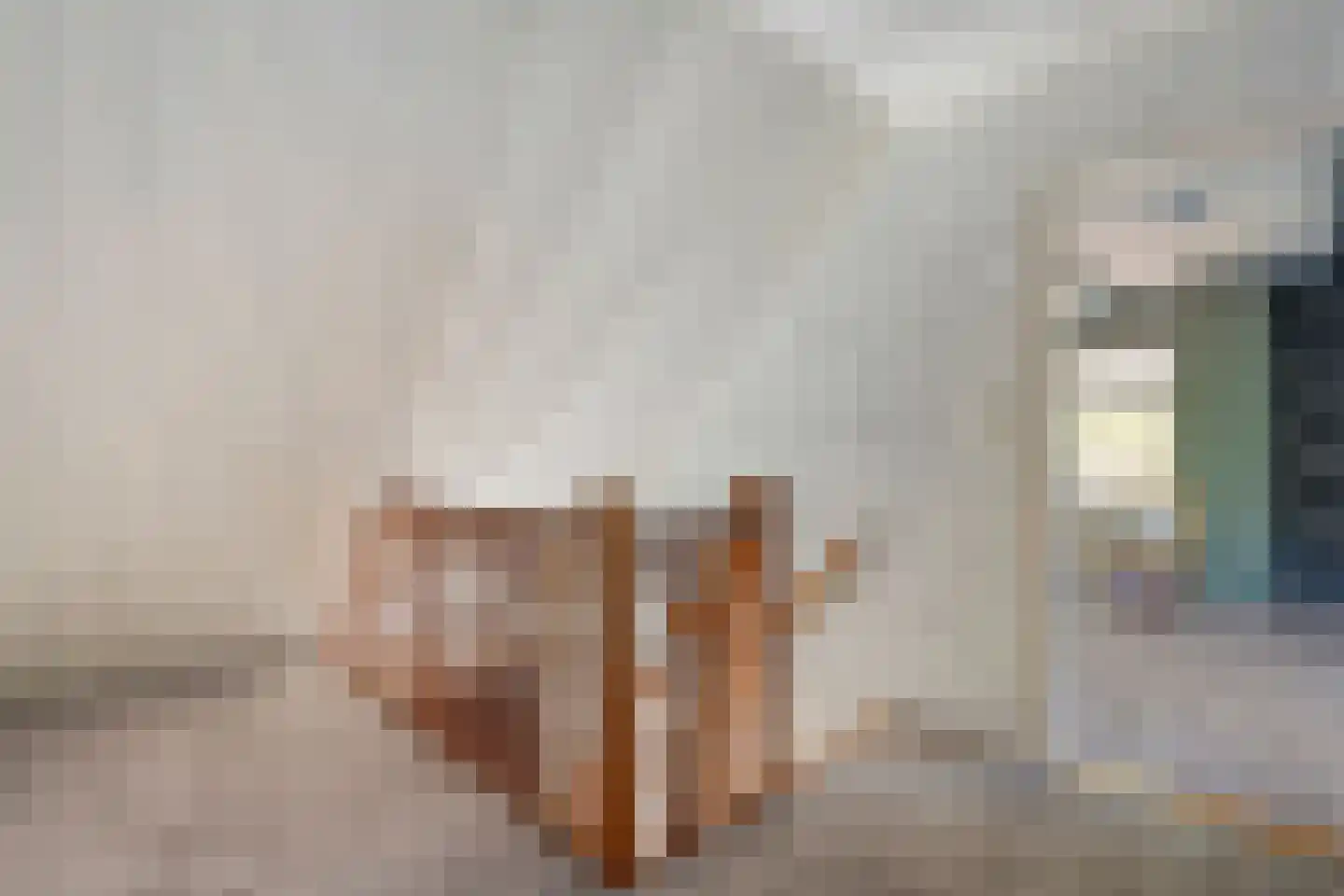 Meppelerweg 153 B Onna thumbnail 36