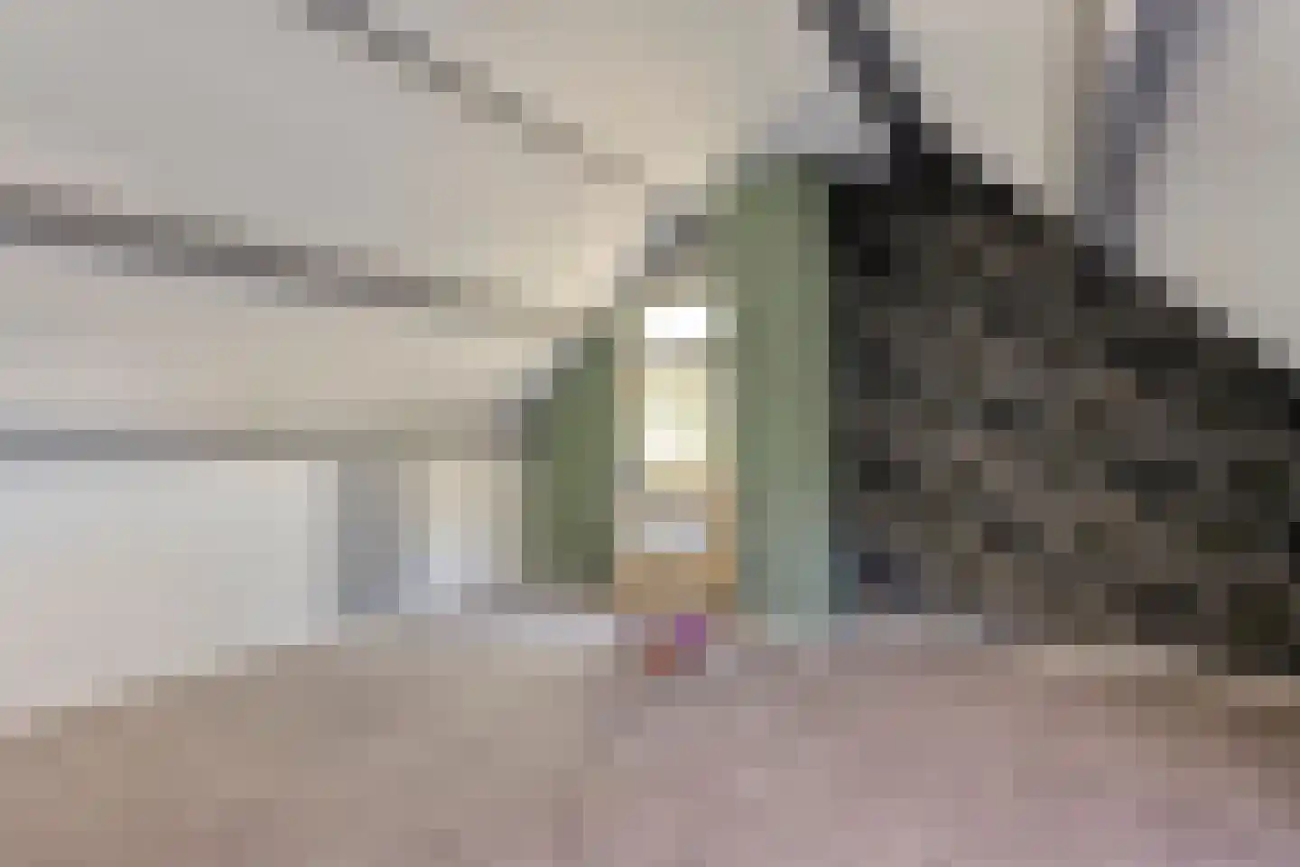 Meppelerweg 153 B Onna thumbnail 39