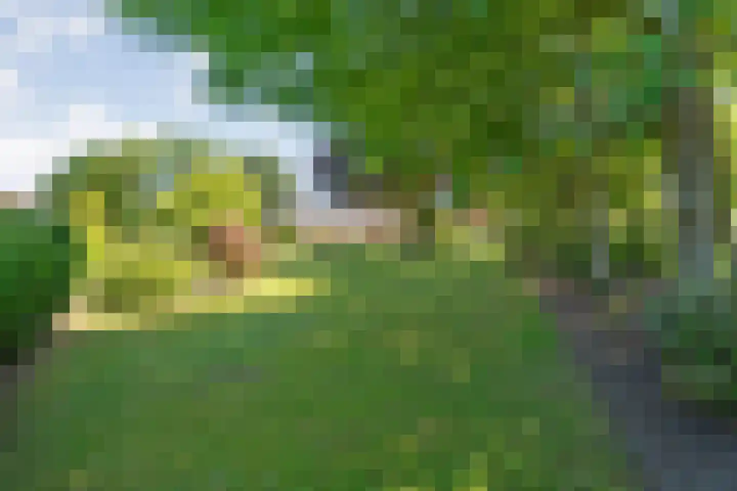 Meppelerweg 153 B Onna thumbnail 4