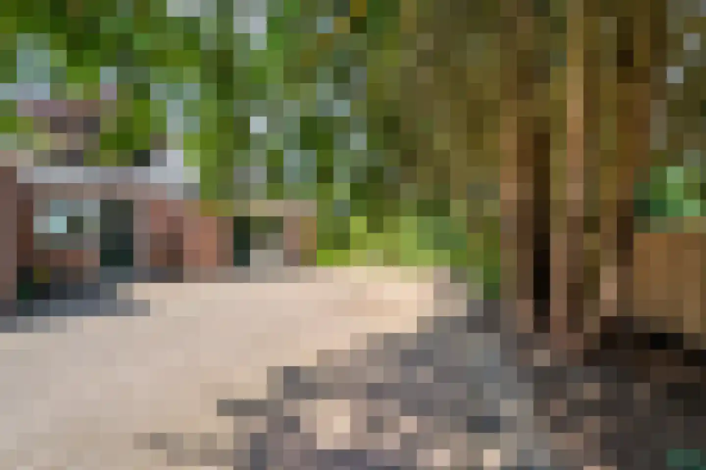 Meppelerweg 153 B Onna thumbnail 45