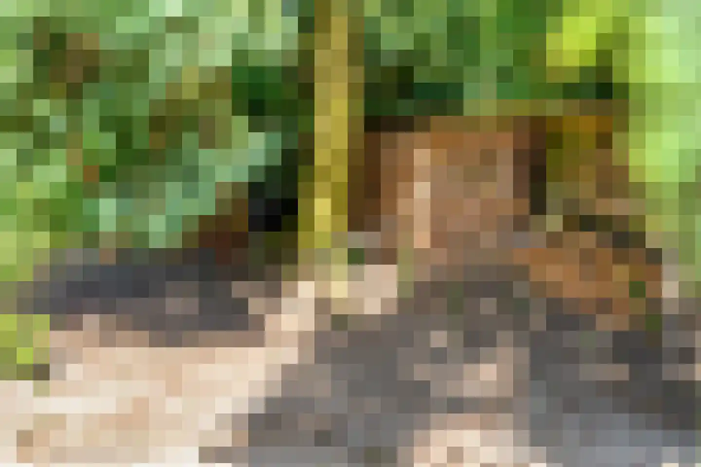 Meppelerweg 153 B Onna thumbnail 46