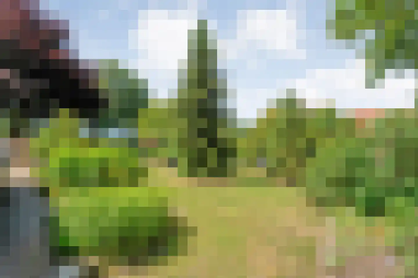 Meppelerweg 153 B Onna thumbnail 48