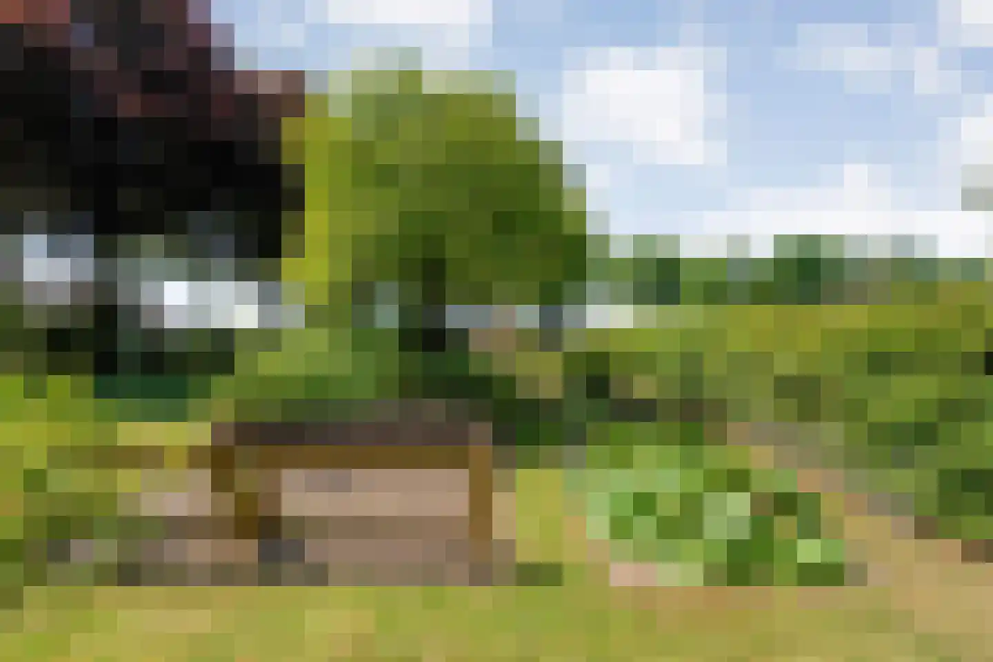 Meppelerweg 153 B Onna thumbnail 49