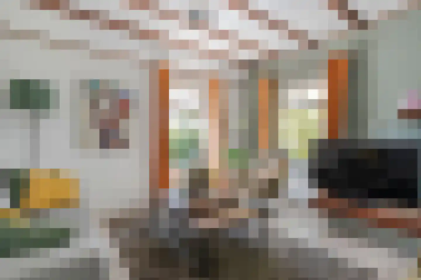 Meppelerweg 153 B Onna thumbnail 5