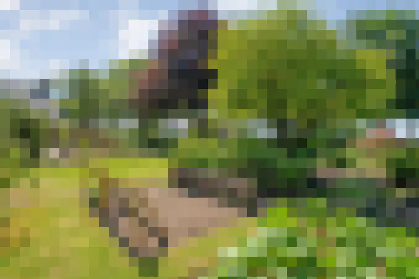 Meppelerweg 153 B Onna thumbnail 50