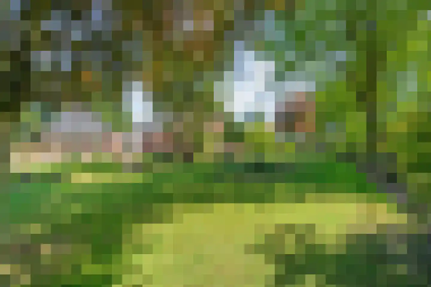 Meppelerweg 153 B Onna thumbnail 52