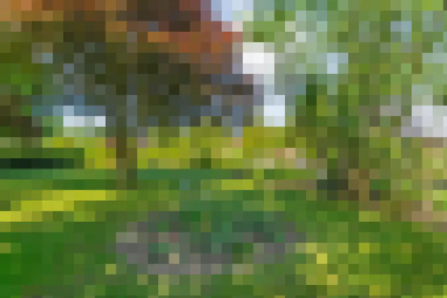 Meppelerweg 153 B Onna thumbnail 53
