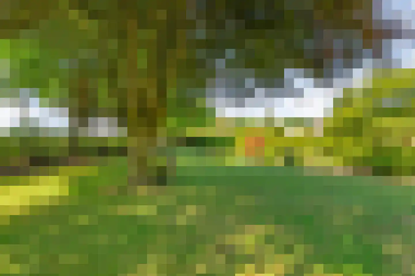 Meppelerweg 153 B Onna thumbnail 54