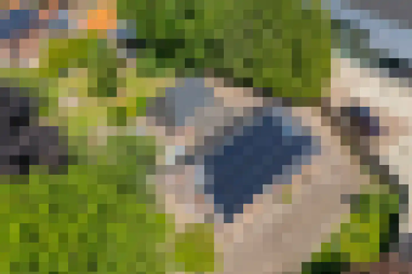 Meppelerweg 153 B Onna thumbnail 64