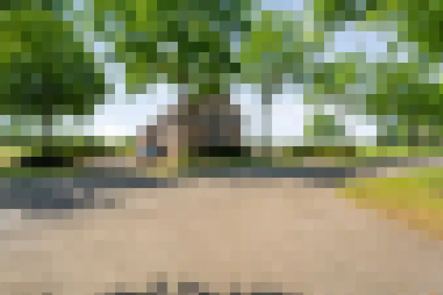 Meppelerweg 153 B Onna thumbnail 67