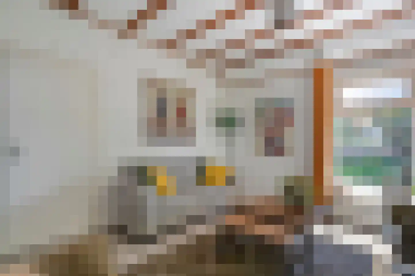 Meppelerweg 153 B Onna thumbnail 7