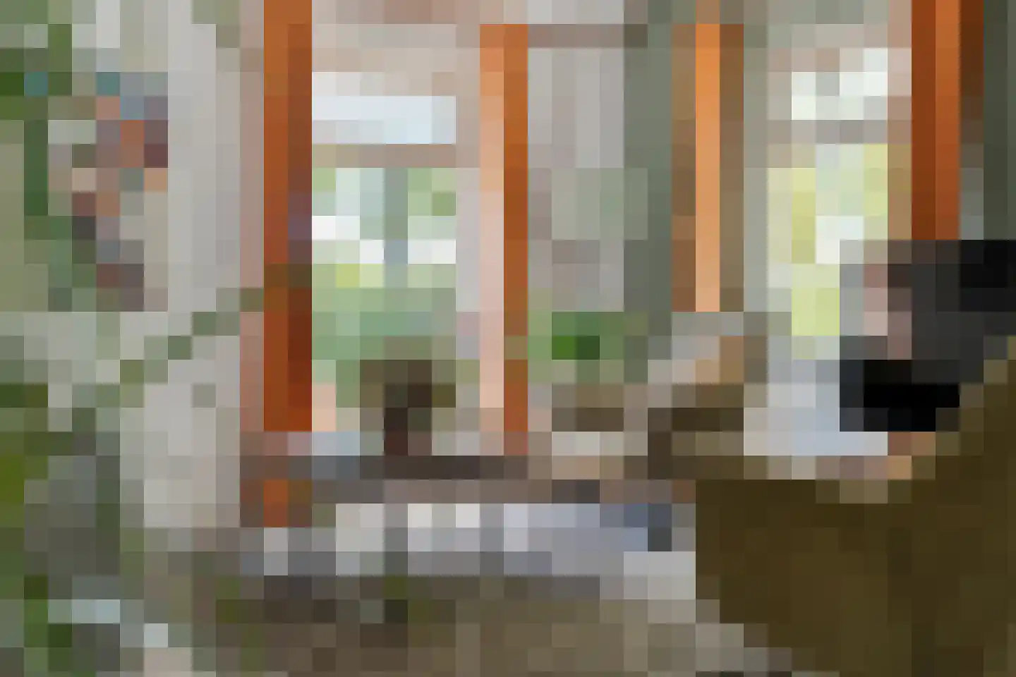 Meppelerweg 153 B Onna thumbnail 8