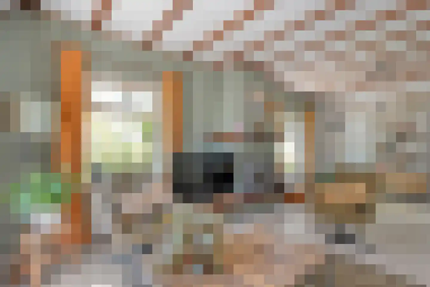 Meppelerweg 153 B Onna thumbnail 9